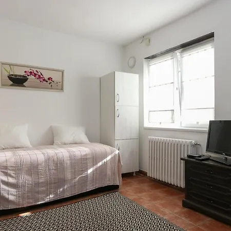 Vracar Apartment *