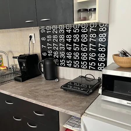 Vracar Apartment