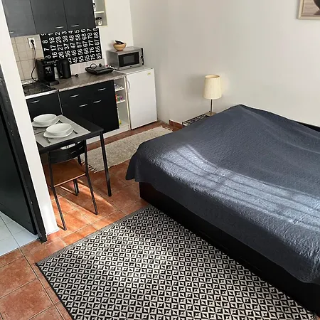 Vracar Apartment *